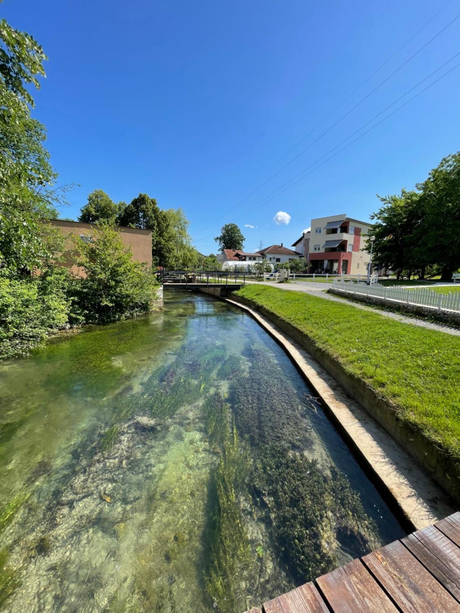 Apartment Vila Tara Bihać Eksteriør bilde