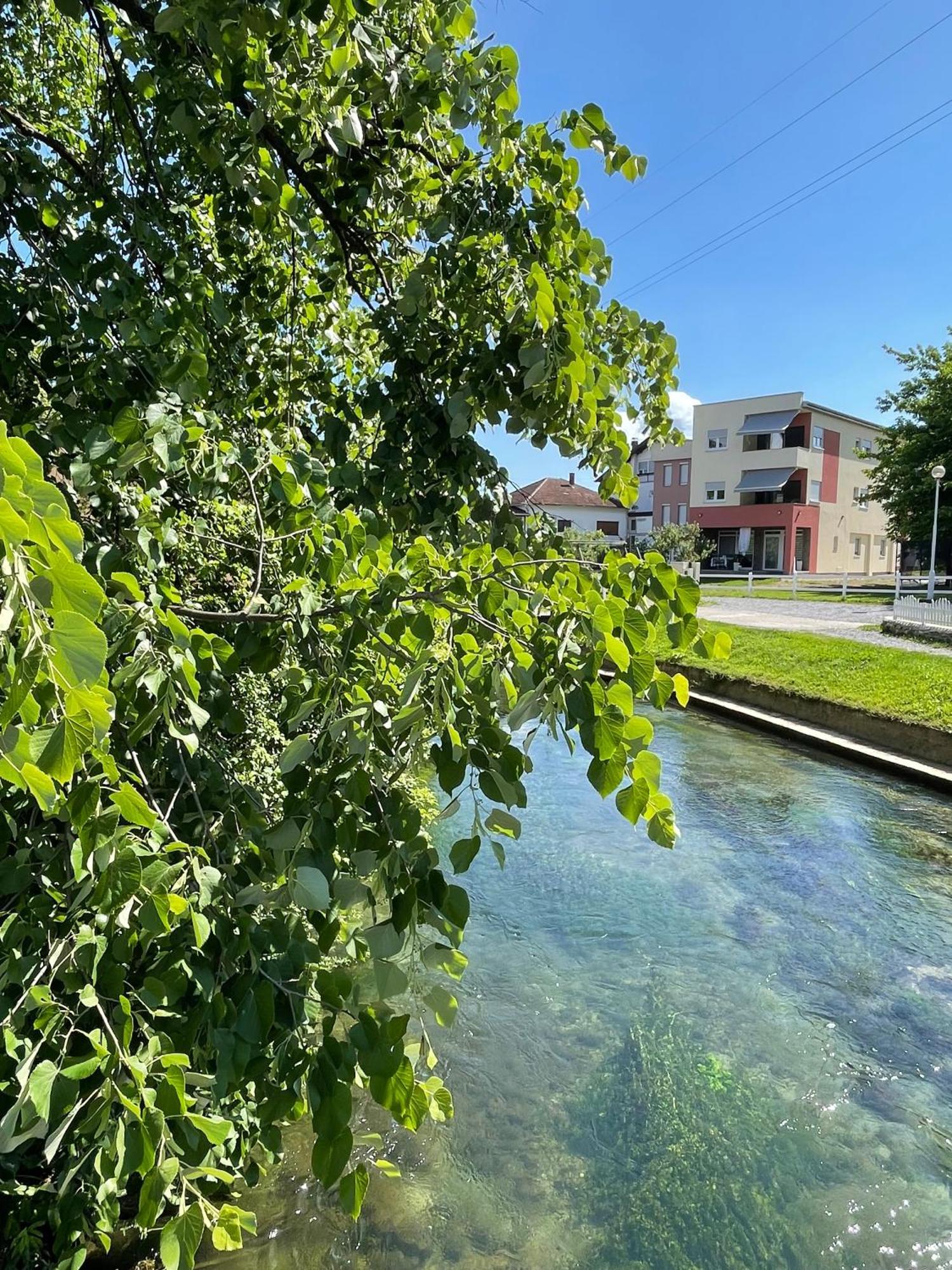Apartment Vila Tara Bihać Eksteriør bilde